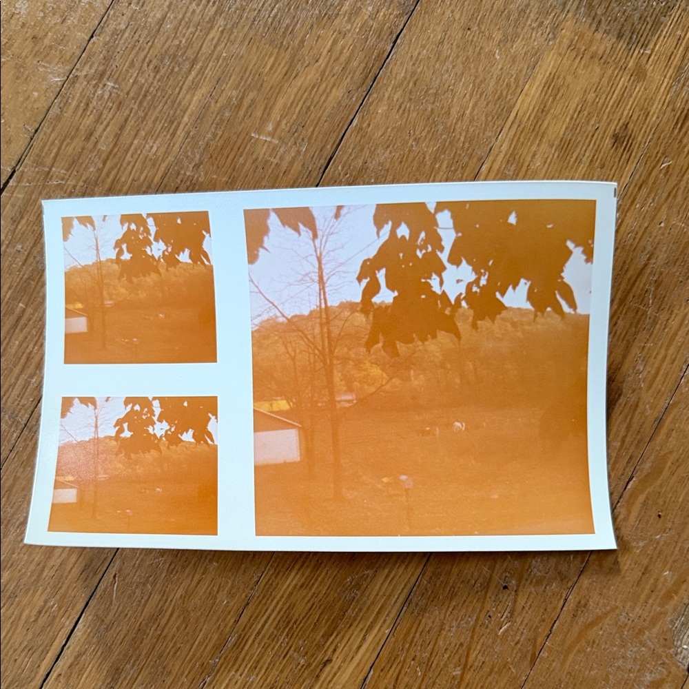Vintage Photo Collection - Picture 10 of 11